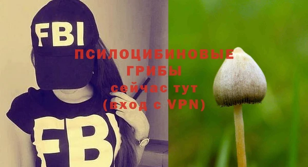 трава Абаза