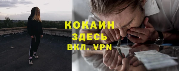 шишки Рославль