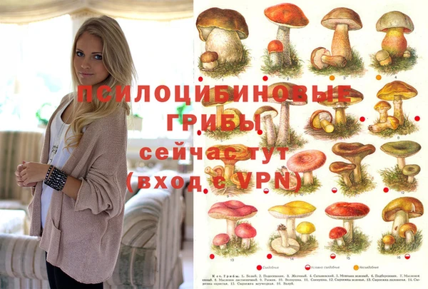 кокаин премиум Алексин
