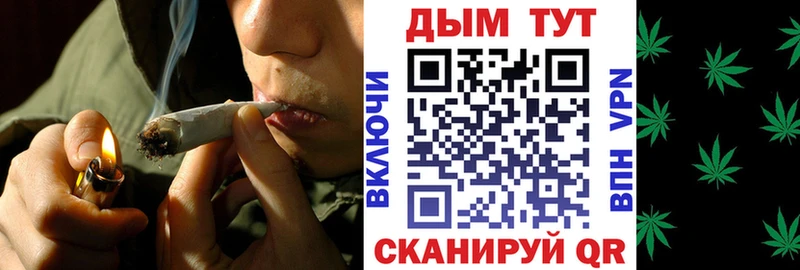 дарнет шоп  OMG ссылка  Бошки марихуана OG Kush  Егорьевск 